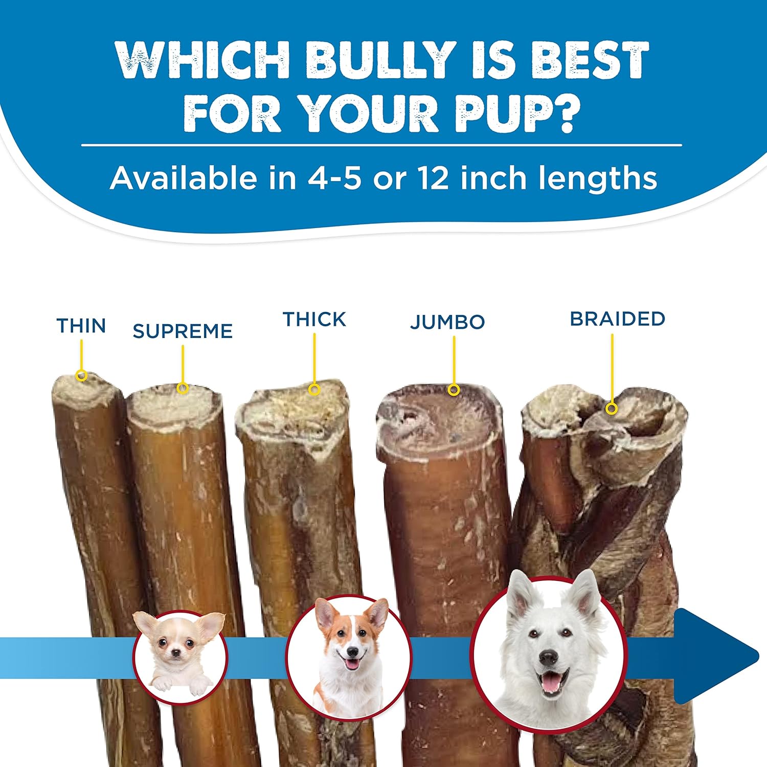 Best Bully Sticks All Natural 12 Inch Braided Bully Sticks for Medium and Large Dogs - Highly Digestible Limited Ingredient Rawhide Alternative Dog Chew - Free-Range Grass-Fed Beef Dog Treats - 4 Pack : Pet Supplies