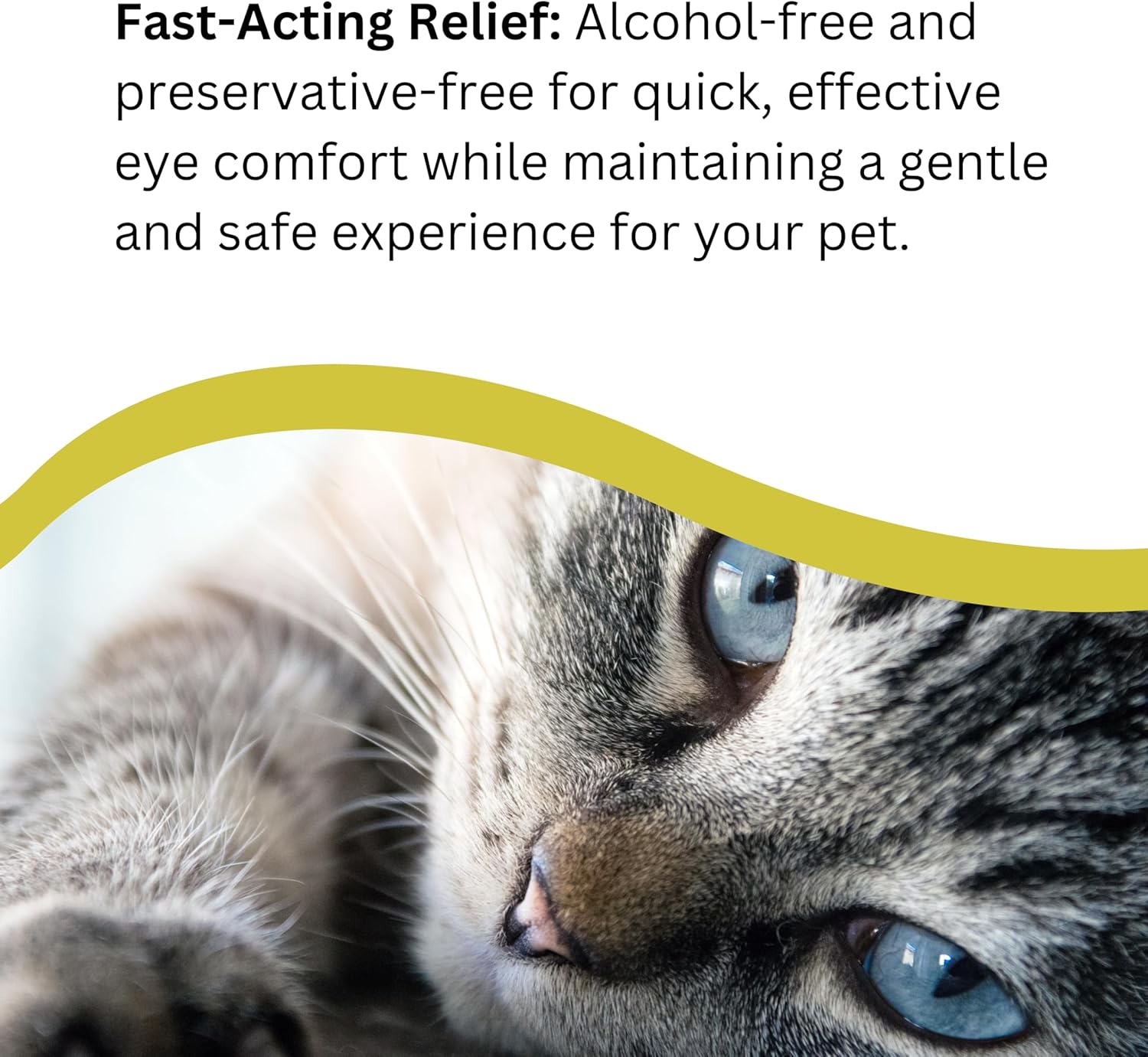 Natures Greatest Secret Antibacterial Eye Drops for Pets, Soothes, Protects & Hydrates with Colloidal Silver, Euphrasia, Hyaluronic Acid, MSM & Vitamin C | 30ml - All Natural : Amazon.co.uk: Pet Supplies
