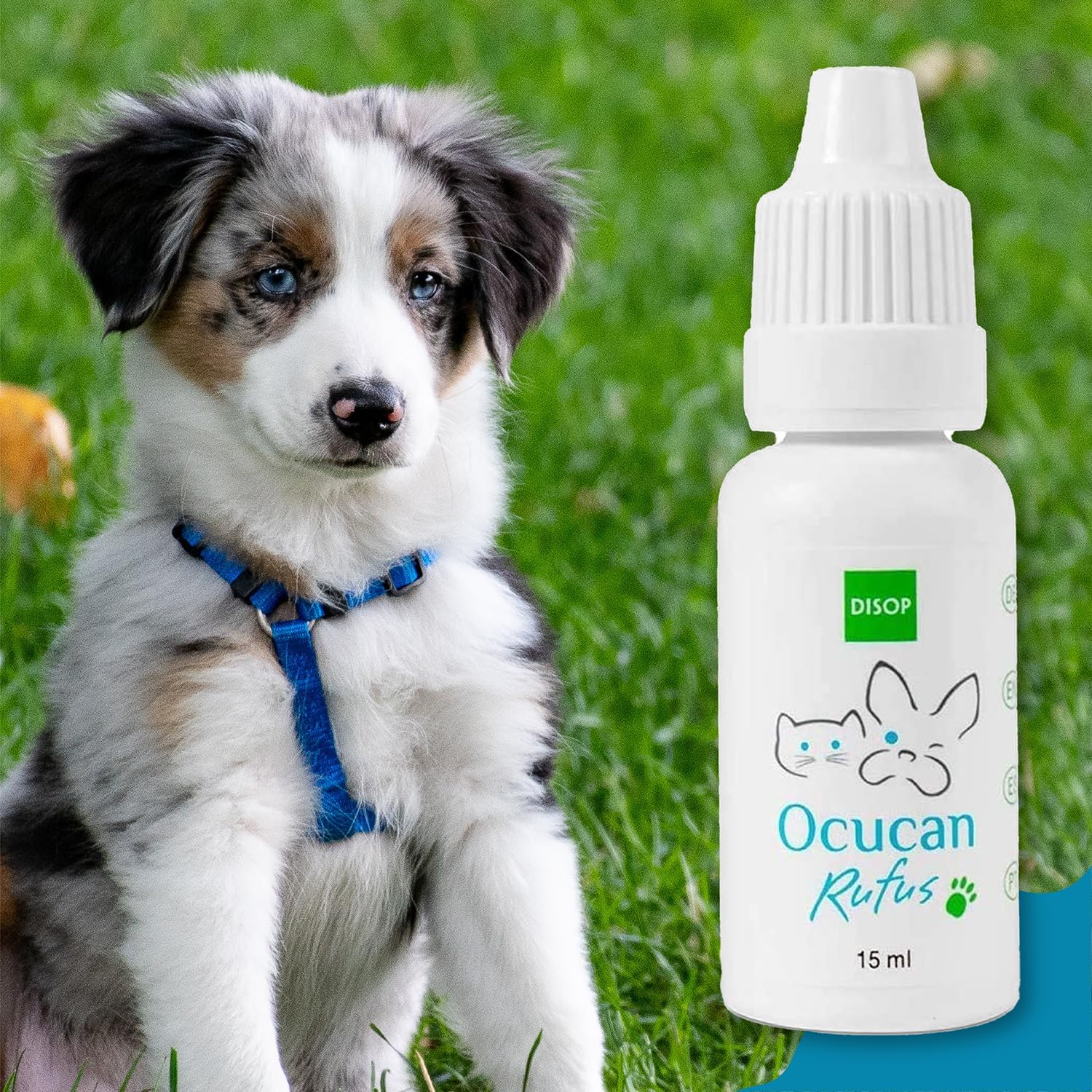Ocucan Moisturizing Eye Drops for Dogs and Cats with Hyaluronic Acid. Lubricating Relief Artificial Tears for Dry Irritated Eyes for Pets. Multidose, 15 ml (0.50 Fl Oz) : Pet Supplies
