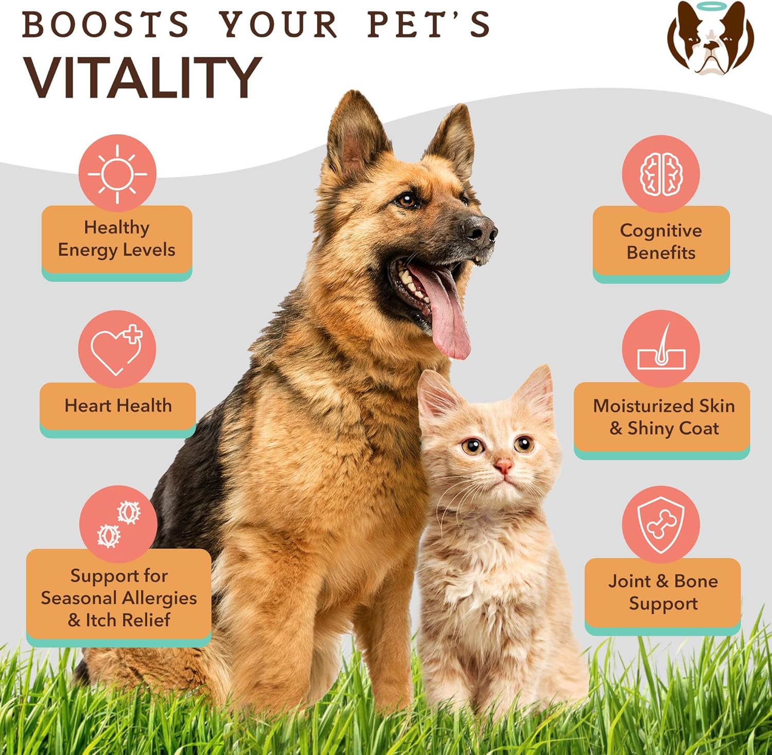Natural Dog Company Wellness Bundle for Dogs, Salmon Oil for Dogs, multivitamin and supplement, Itch Relief for Dogs : Pet Supplies