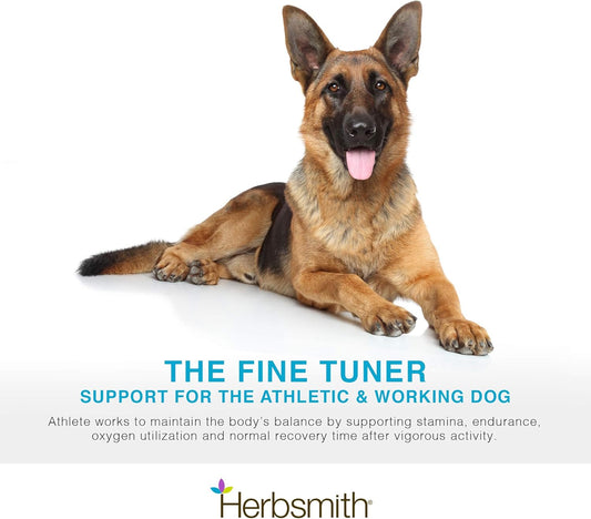 Herbsmith Athlete – Canine Endurance Supplement For Working And Agility Dogs – For The Canine Athlete – 75G Powder