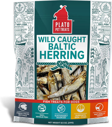 Plato Pet Treats Air Dried Dog Treats Baltic Herring Dog Treat, Real Fish, Grain-Free, Baltic Herring, All Natural, Single Ingredient Fish, 8.5Oz