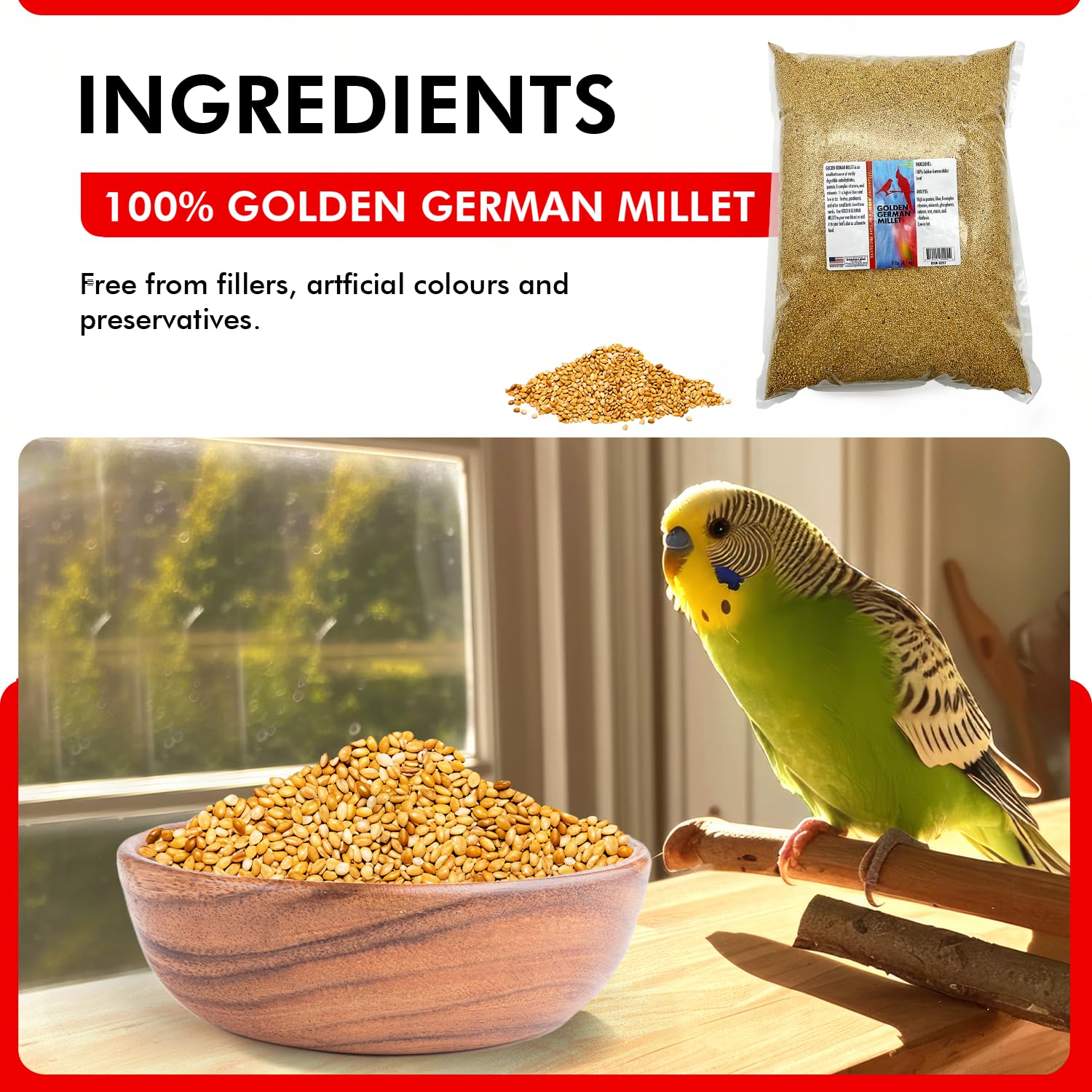 Morning Bird Golden German Millet – Bird Seed & Parakeet Food With Protein, Vitamin B & Fiber – Easy-To-Digest Millet Seed, Natural Food & Daily Nutrition Supplement For All Type Of Bird 9 Lbs : Pet Supplies