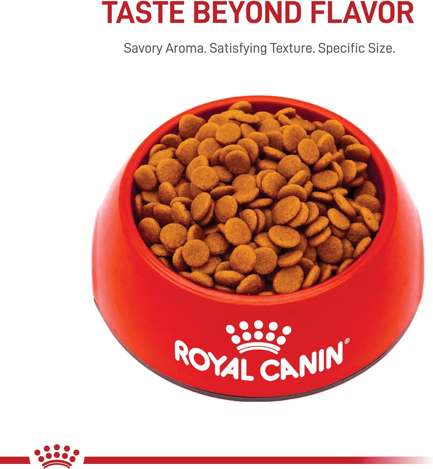 Royal Canin Small Digestive Care Dry Dog Food, 3.5 lb bag : Pet Supplies