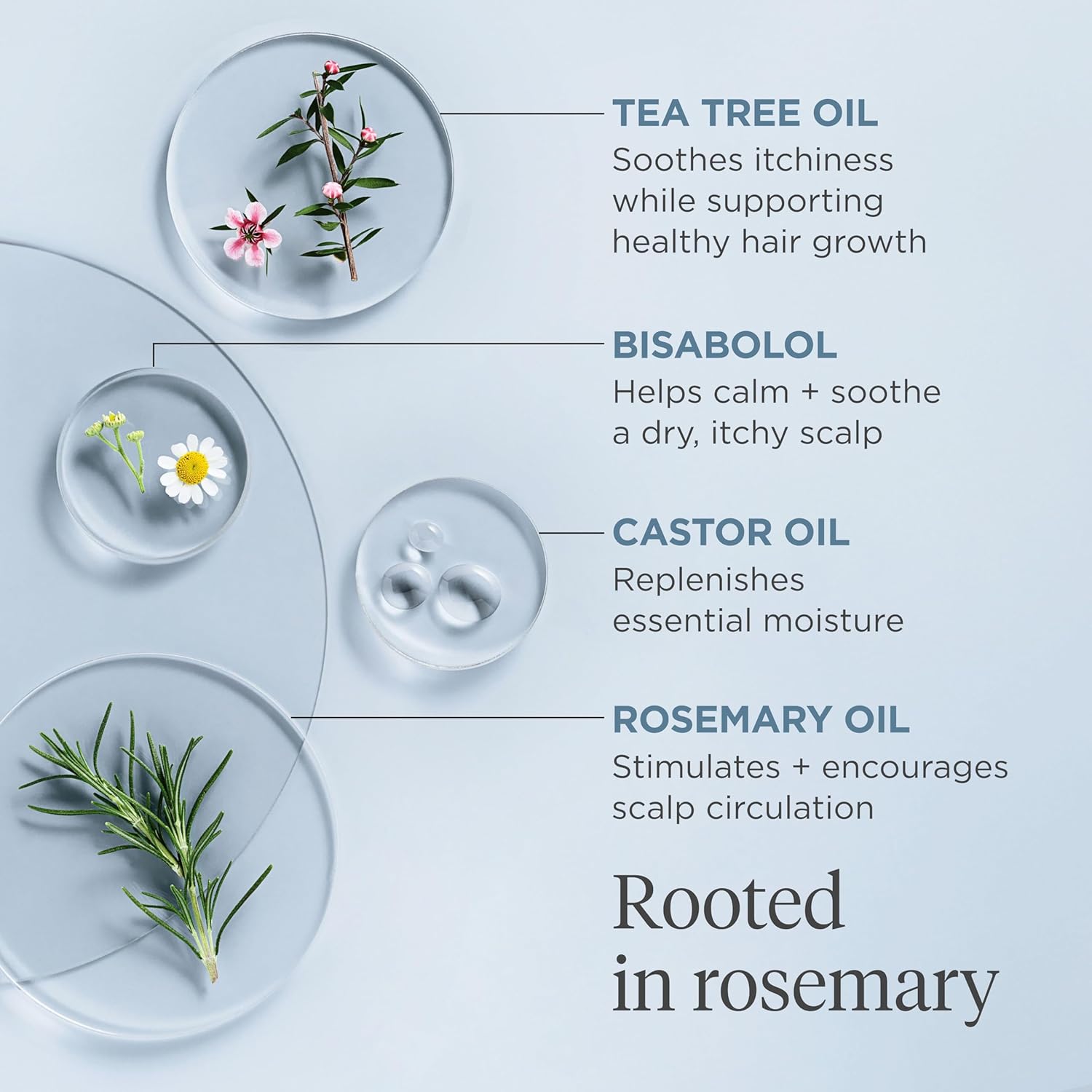 Briogeo Scalp Revival Rosemary Pre-Wash Oil for Hair and Scalp, Dry Scalp Treatment, 100ml : Amazon.co.uk: Beauty