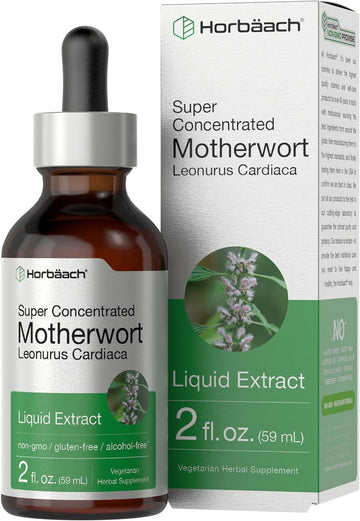 Horbäach Motherwort Herb Extract Tincture | 2 oz | Low Alcohol Liquid | Vegetarian | Leonurus Cardiaca | Non-GMO, Gluten Free