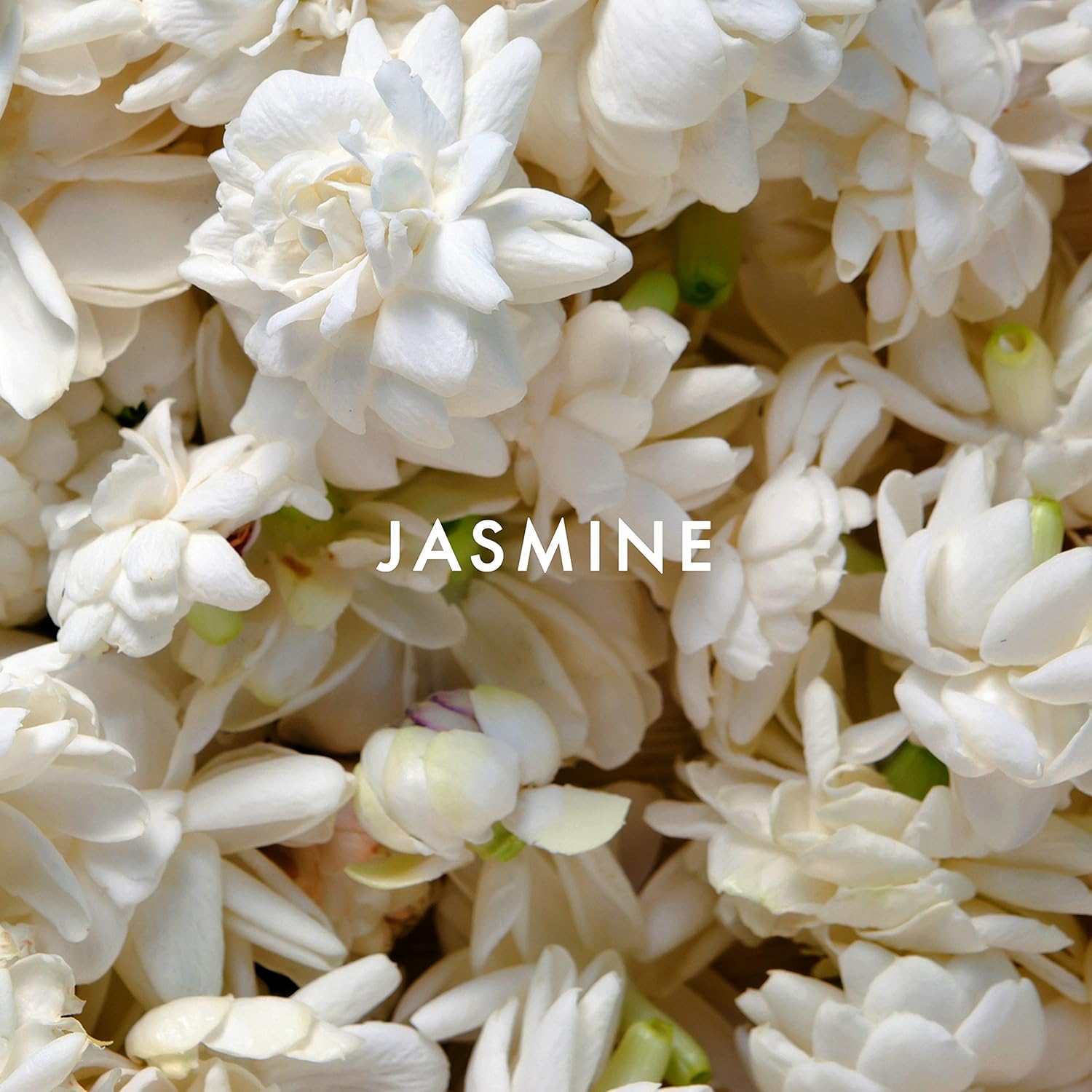 Alfred Sung Women'S Perfume Fragrance, Sung By Alfred Sung, Eau De Toilette Spray, 1 Fl Oz : Eau De Parfums : Beauty & Personal Care