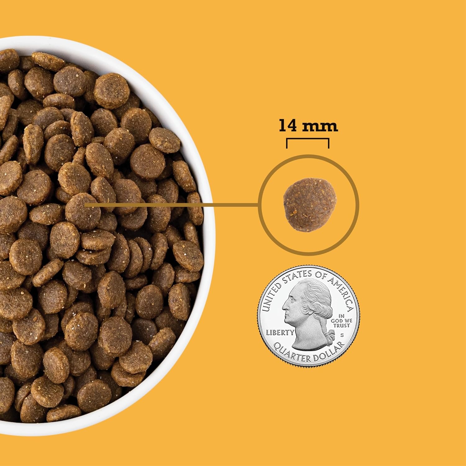 ACANA Grain Free Dry Dog Food, Free-Run Poultry Dog Food Recipe, 13lb : Pet Supplies