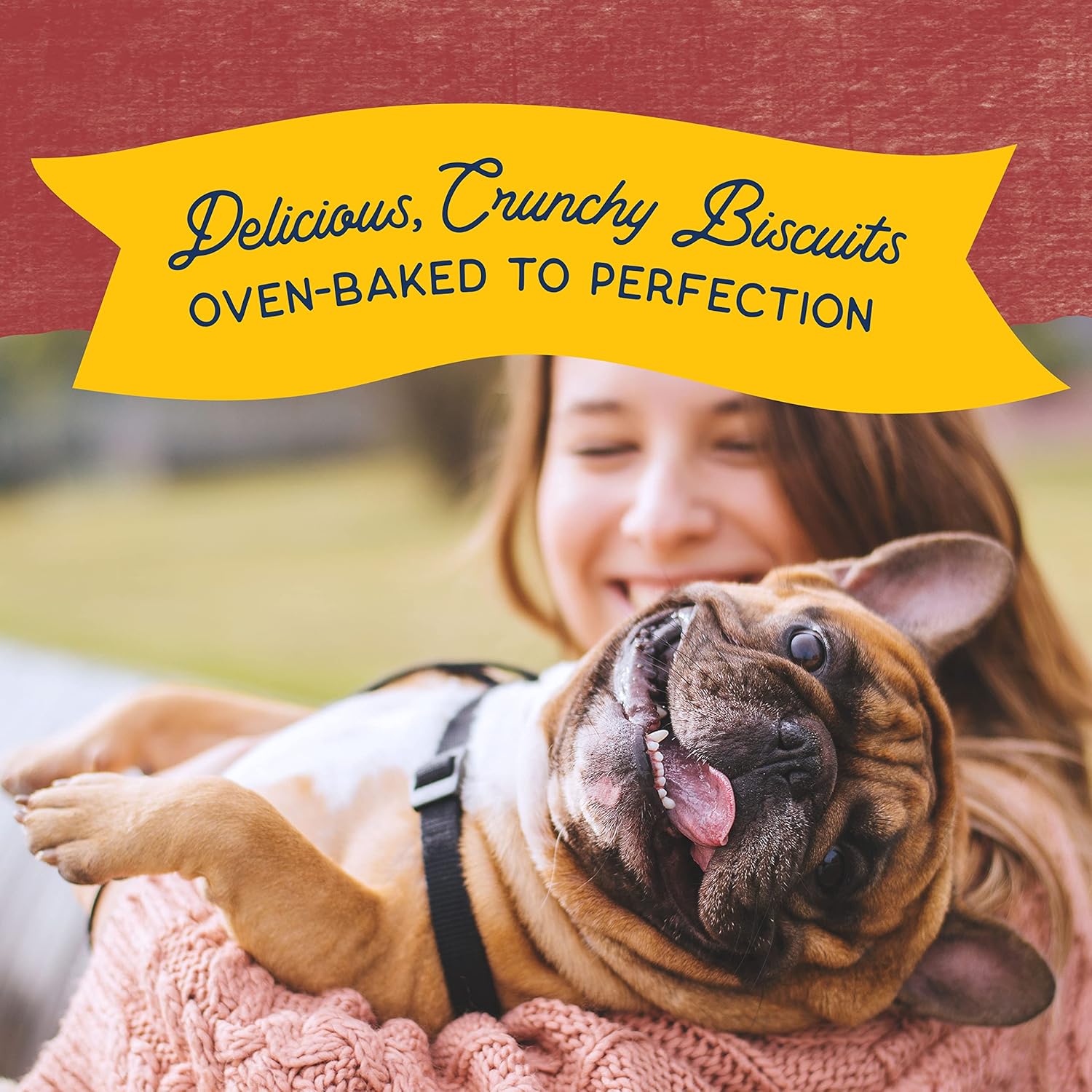 Natural Balance Limited Ingredient Rewards Crunchy Biscuits, Grain-Free Dog Treats for Adult Dogs of All Breeds, Sweet Potato & Bison Recipe, 14 Ounce (Pack of 1) : Pet Treat Biscuits : Pet Supplies