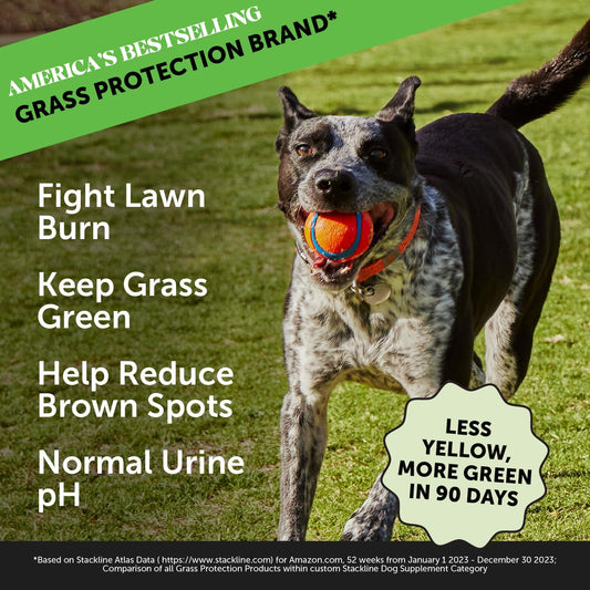 Pet Honesty Grass Green - Pee Grass Spot Saver Caused By Dog Urine, Gut Health Probiotics, Dog Urine Neutralizer For Lawn, Grass Burn Spot Chews, Cranberry, Apple Cider Vinegar, Dog Rock (Turkey 90Ct)