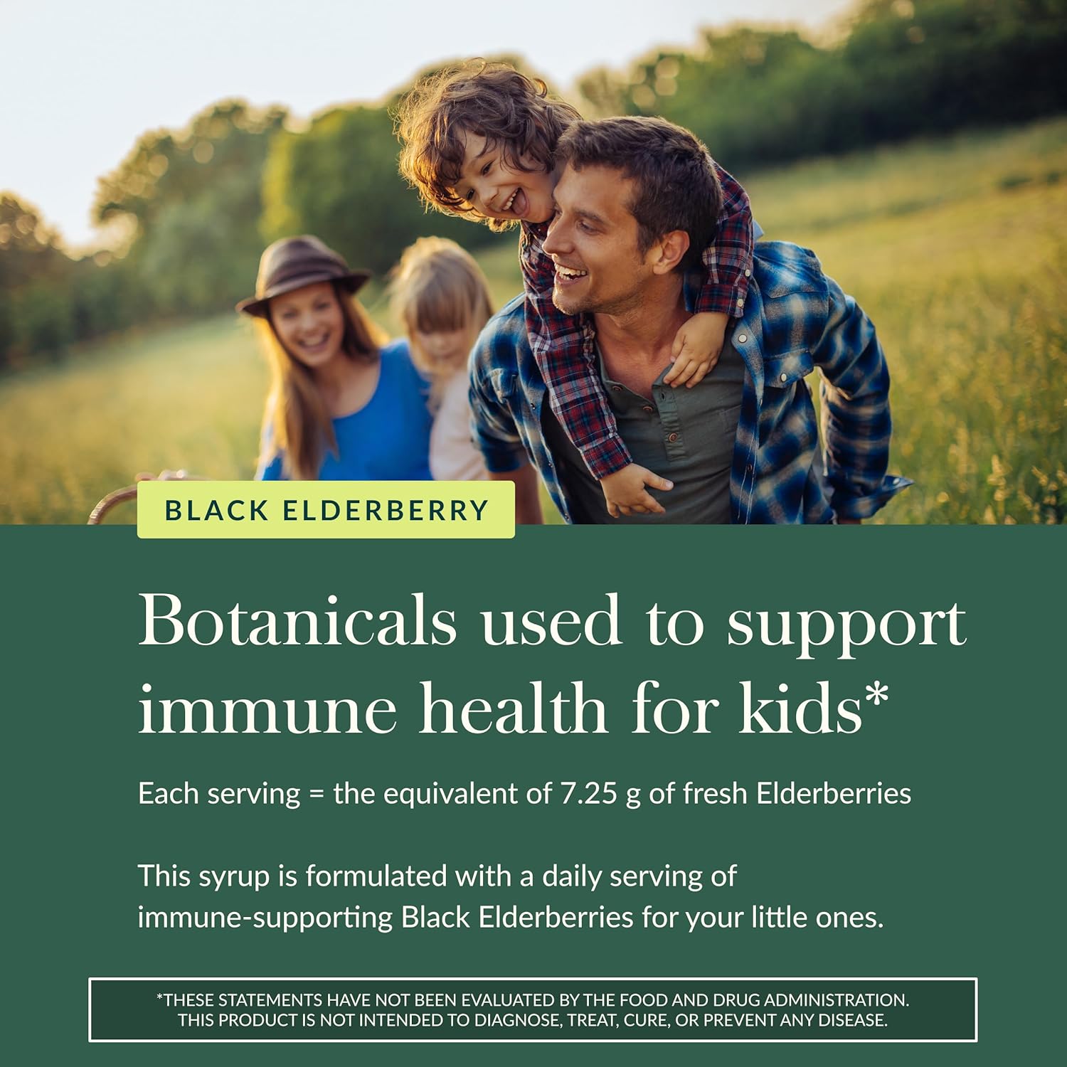 Gaia Herbs Gaiakids Black Elderberry Syrup - Delicious Immune Support Supplement For Kids - With Organic Black Elderberries And Honey - Usda Certified - 3 Fl Oz : Health & Household