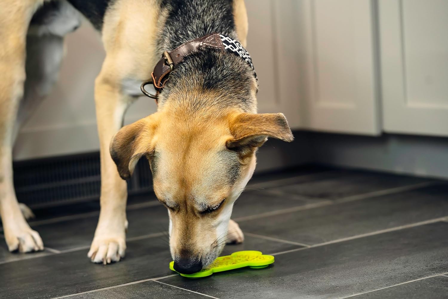 Pet Naturals Calm and Busy Pack with 6 Pouches of BusyButter Calming Peanut Butter and Premium Lick Mat with Suction Cups : Pet Supplies