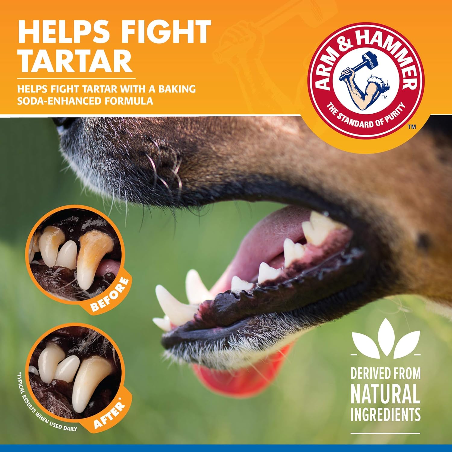The Company Of Animals Arm & Hammer Dental Spray Clear