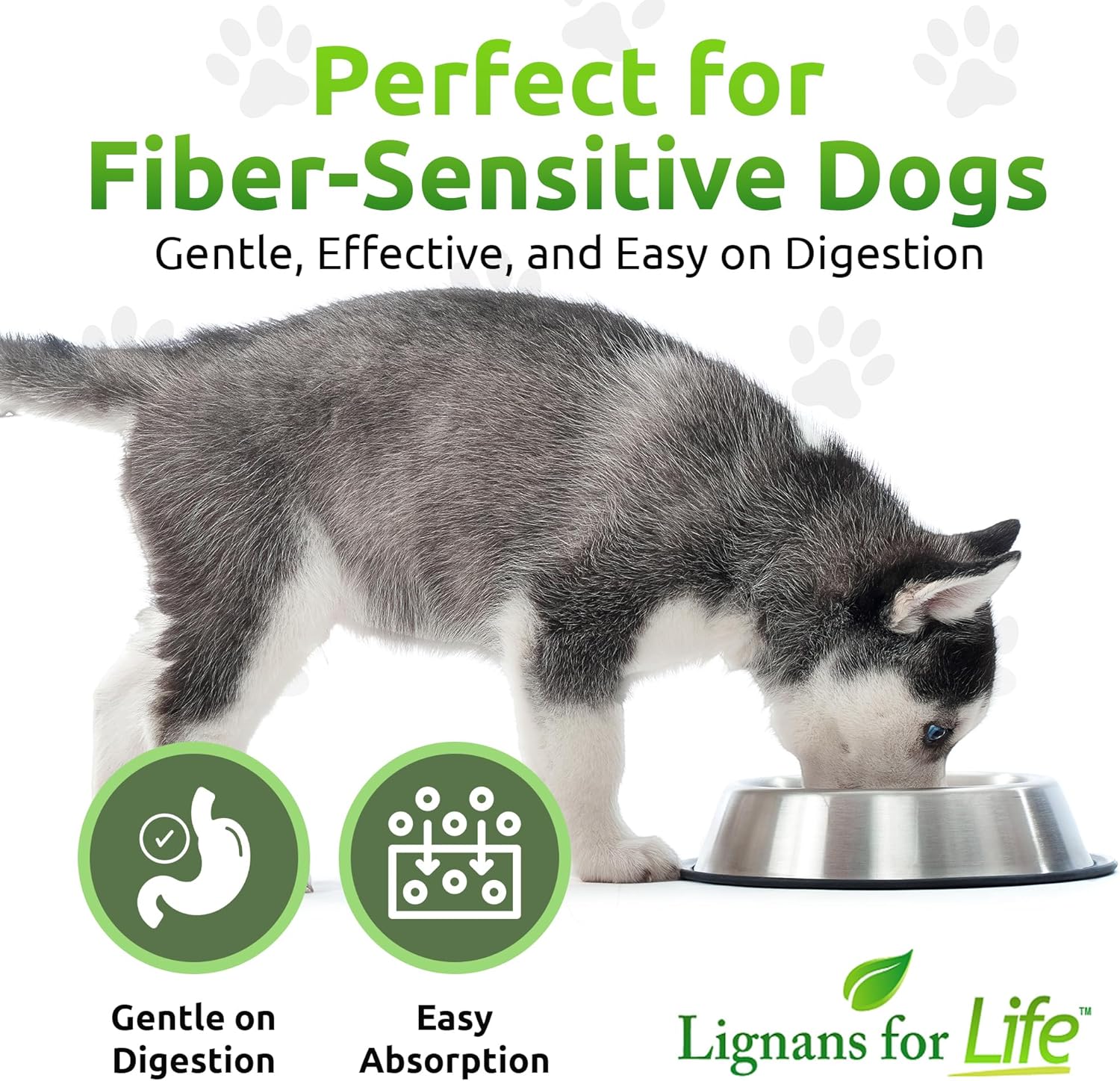 Lignans For Life Hmr Lignans 10Mg Capsules - Perfect For Small Dog Breeds - Vitamin For Healthy Pet | Multivitamin | Wellness Supplement | Nutritional : Pet Supplies