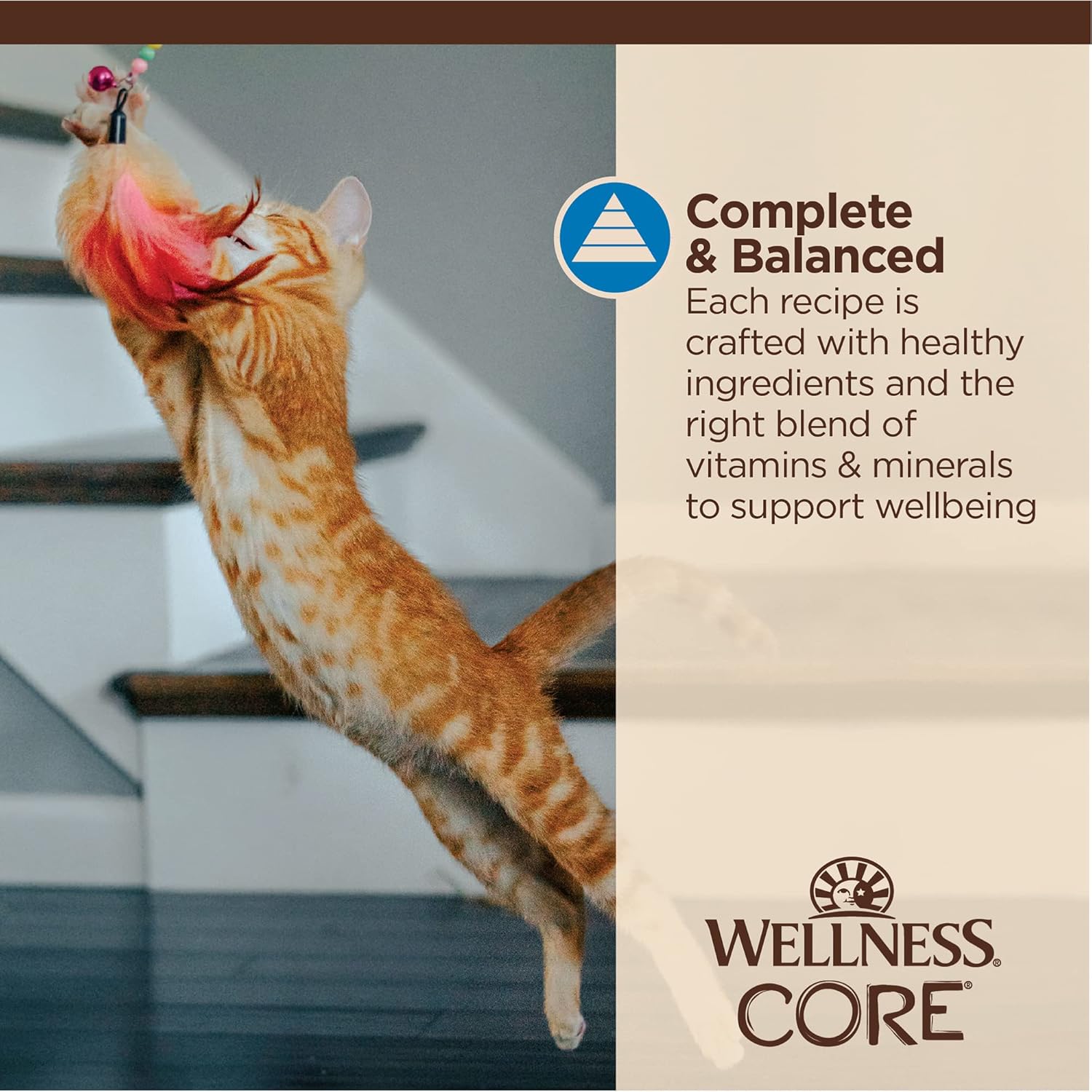 Wellness CORE Tiny Tasters Wet Cat Food, Complete & Balanced Natural Pet Food, Made with Real Meat, 1.75-Ounce Pouch, 12 Pack (Adult Cat, Flaked Tuna & Shrimp) : Grocery & Gourmet Food