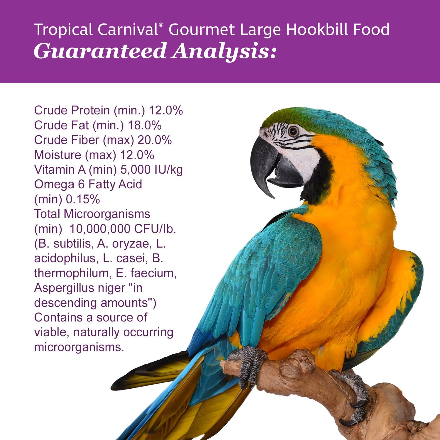 F.M. Brown's Tropical Carnival Gourmet Large Hookbill Food for Parrots, Cockatoos and Macaws Over 13", 5-lb Bag - Vitamin-Nutrient Fortified Daily Diet : Pet Food : Pet Supplies