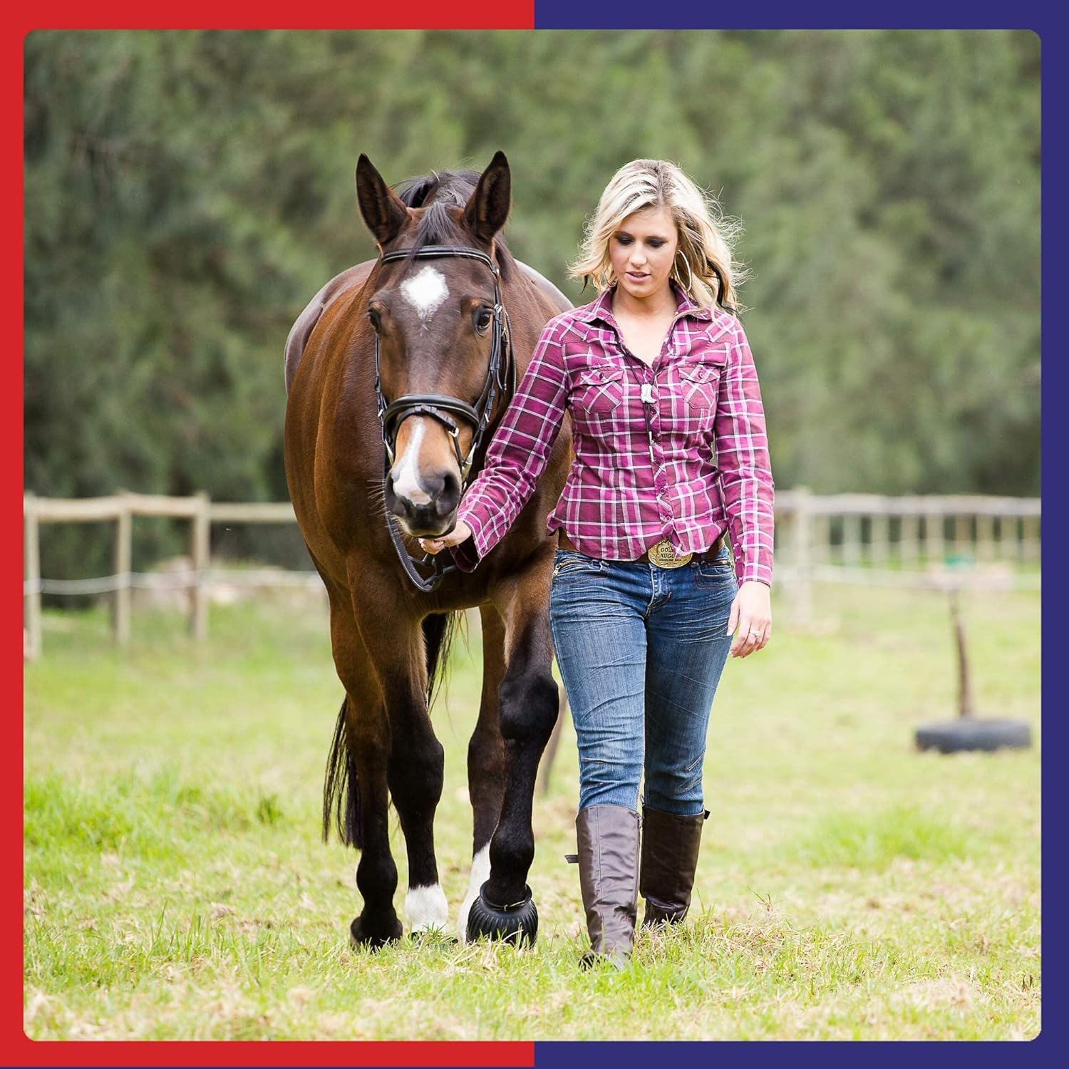 Equine America Everyday Vitamin & Mineral | Premium Ready To Use Horse & Pony Supplement | Support For General Health | 1.5 Kg : Amazon.co.uk: Pet Supplies