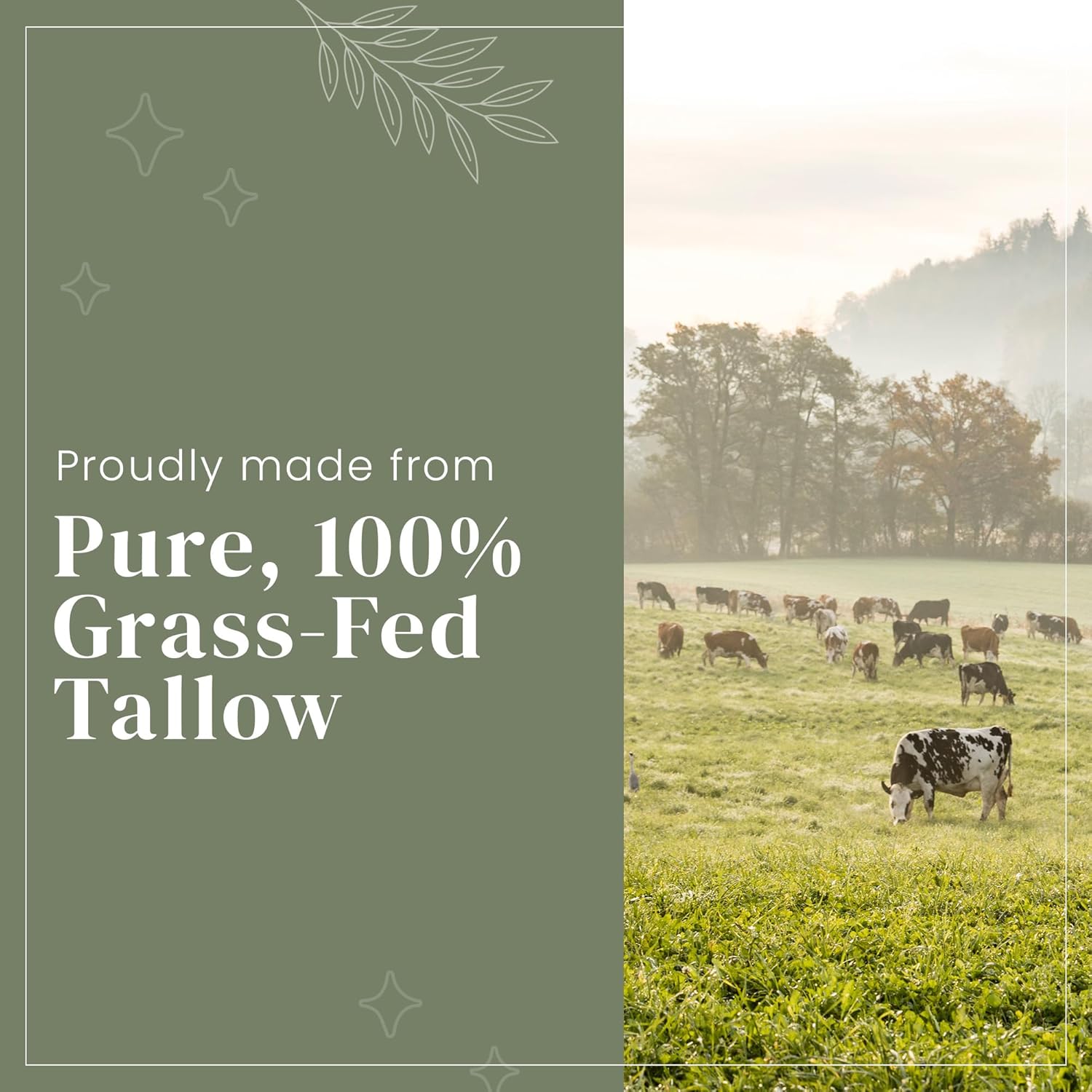 100% Grass Fed Beef Tallow For Skin - Organic Tallow Face Moisturizer - Beef Tallow With Manuka Honey Balm Ideal For Eczema Treatment, Stretch Marks, Reduce Redness, Sensitive Skin (Lavender Vanilla) : Beauty & Personal Care