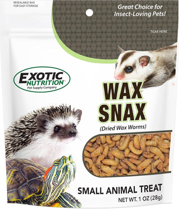 Wax Snax - Dried Wax Worm Insect Treat - Hedgehogs, Sugar Gliders, Reptiles, Wild Birds, Chickens, Lizards, Bearded Dragons, Skunks, Opossums, Amphibians, Turtles, Geckos, Frogs (1 Oz.)