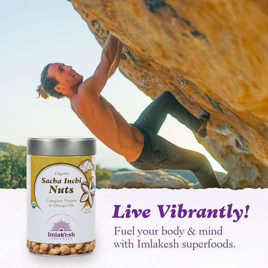 Imlakesh Organics Sacha Inchi Nuts (14Oz Metal Jar)
