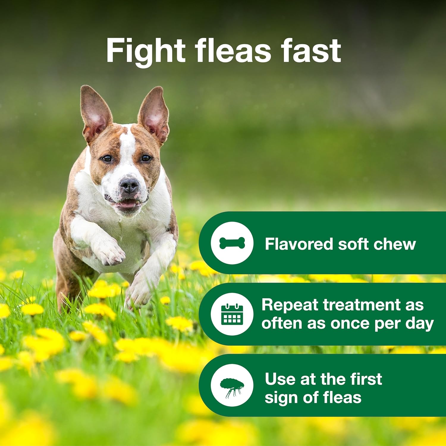 Advantus Dog Advantus Chewable Flea Treatment for Dogs 4 - 22 lbs. | 7 ct. : Pet Supplies