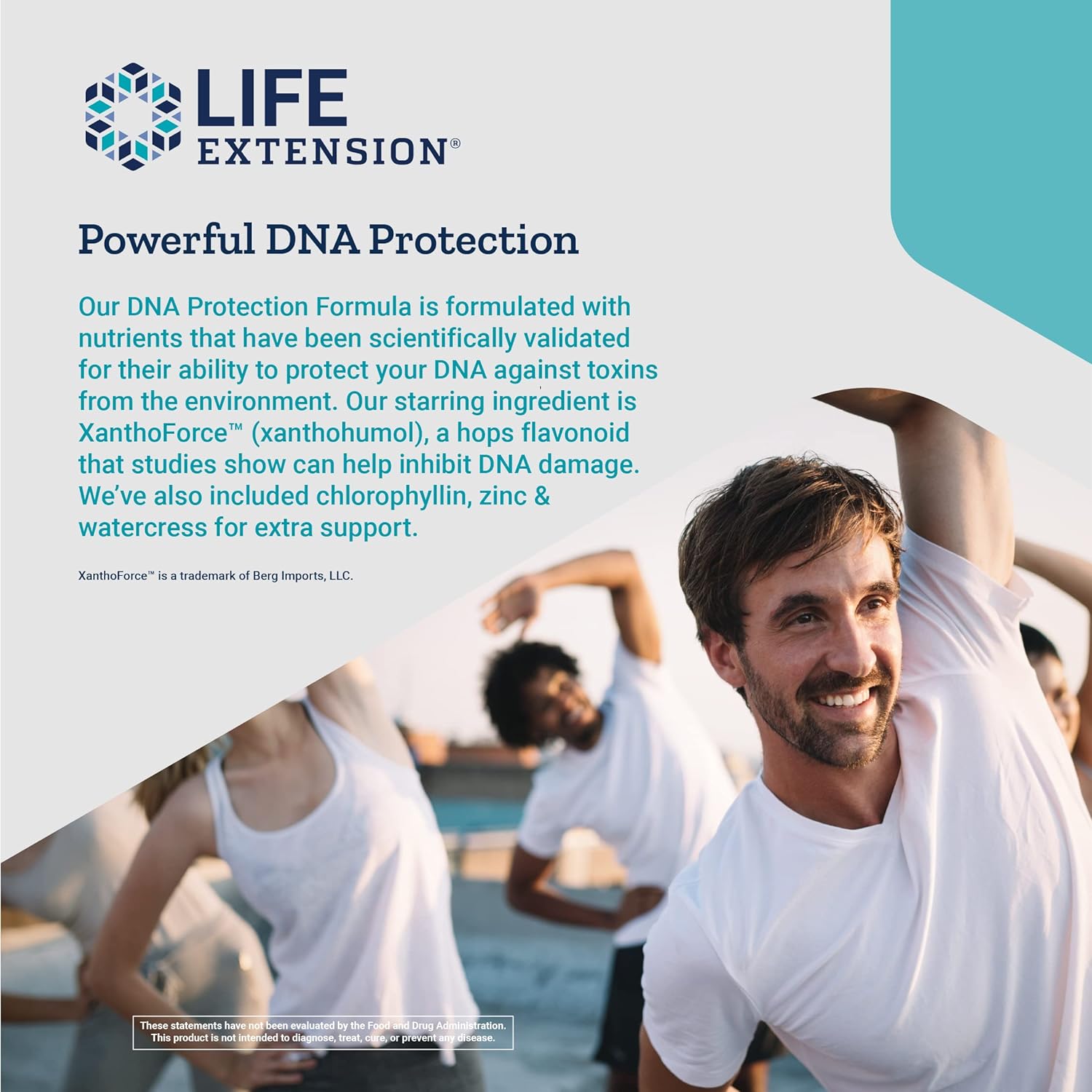 Life Extension DNA Protection Formula - Watercress & Chlorophyllin Extract Supplement for DNA Protection Support, Liver Health and Detox – Gluten-Free, Non-GMO, Vegetarian – 30 Capsules : Health & Household