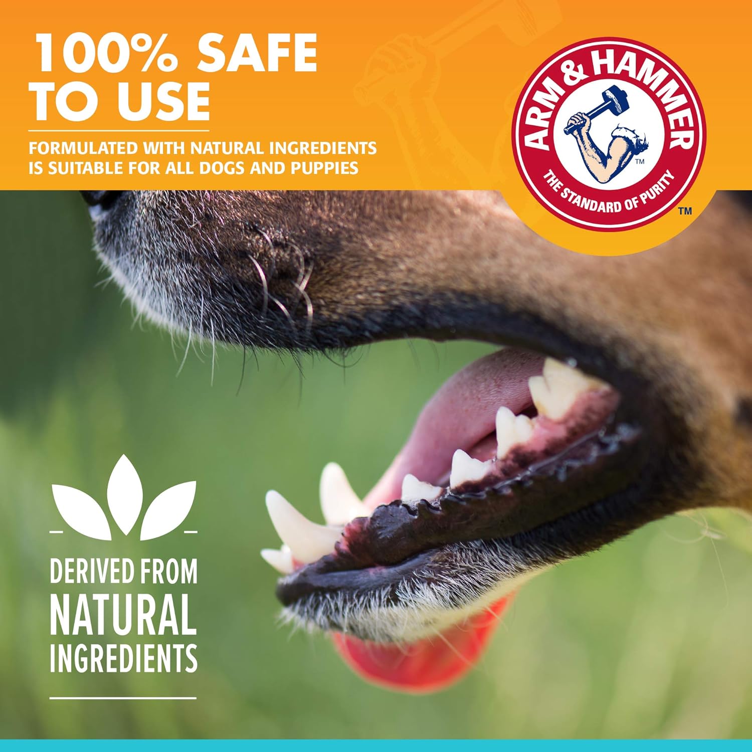 Arm & Hammer Clinical Gum Health Enzymatic Toothpaste For Dogs In Chicken Flavor, 67.5 G (Pack Of 1)