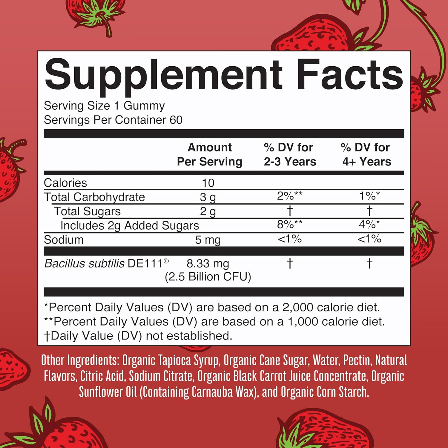MaryRuth Organics Kids Probiotics for Digestive Health, USDA Organic Probiotic Gummies, 2 Month Supply, for Kids, Immune Support, Gut Health Supplement, Vegan, Non-GMO, Gluten Free, 60 Count : Everything Else