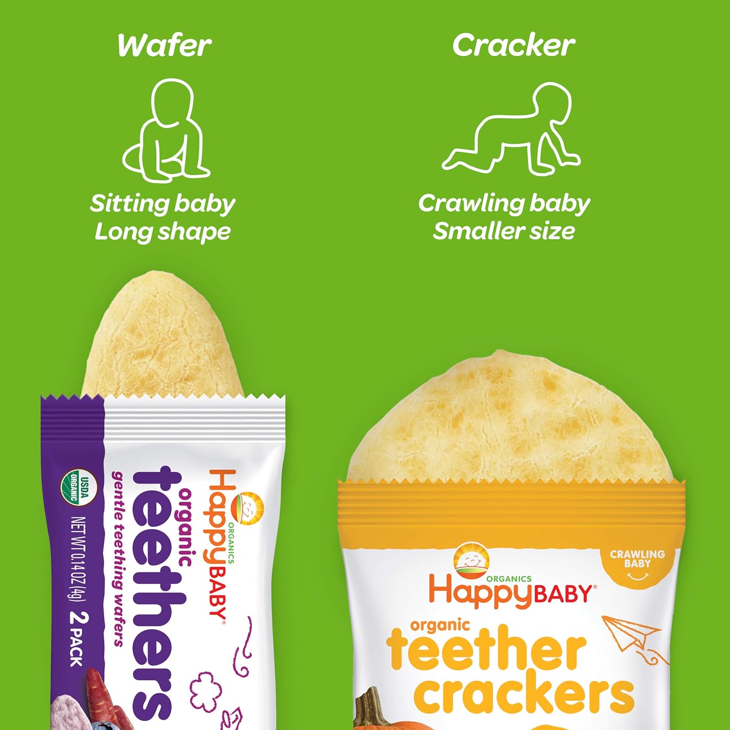 Happy Baby Organics Teether, 3 Flavor Variety Pack, 12 Count (Pack of 3) : Everything Else