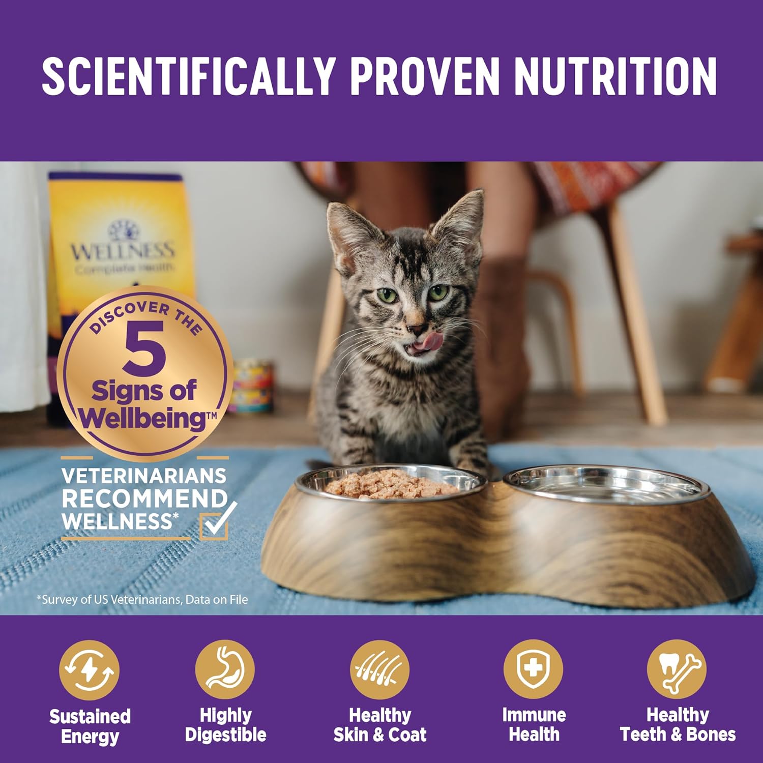 Wellness Complete Health Grain Free Canned Cat Food, Chicken Pate, 12.5 Ounces (Pack of 12) : Canned Wet Pet Food : Pet Supplies