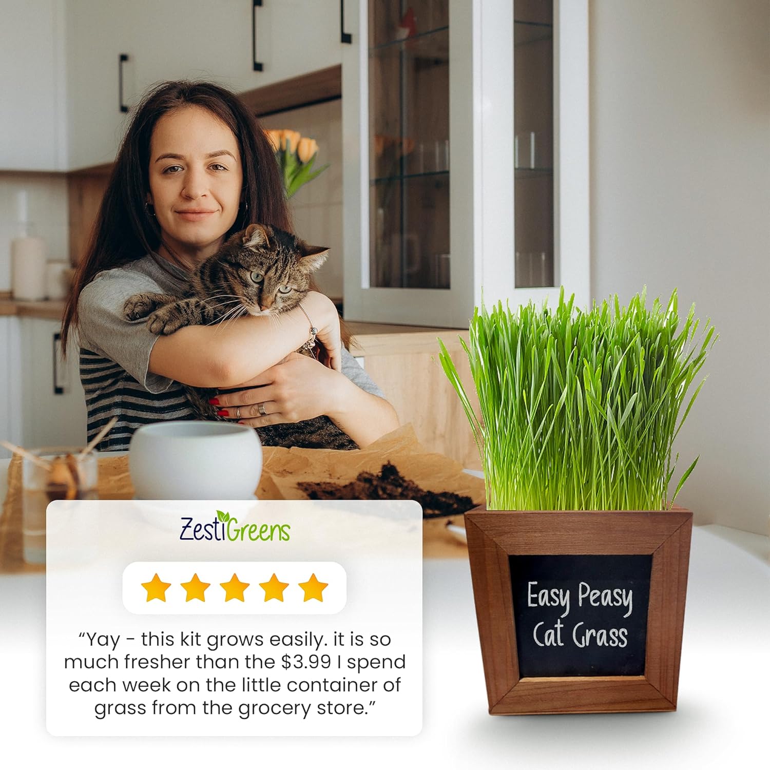 Organic Indoor Cat Grass Kit - 3 Wooden Planters, Certified Seeds, and Premium Soil for Happy Cats. Delight Your Feline Friends with The Ultimate Cat Grass Experience! Ideal Gift for Cat Lovers. : Patio, Lawn & Garden