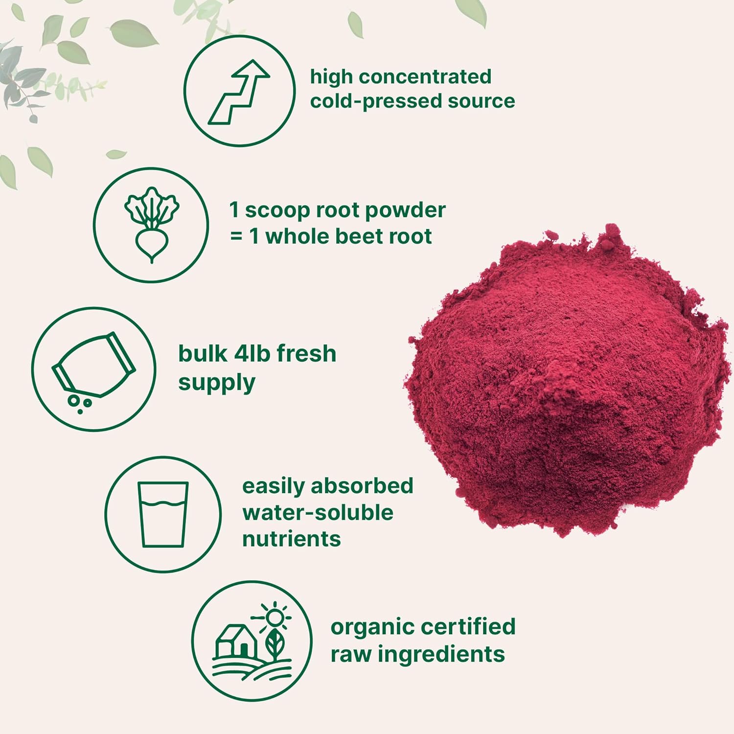 Organic Beet Root Powder, 4 Pounds | Cold Pressed, Water Soluble, High Concentrated Raw Beet Supplement | Superfood Drink Mix | Non-GMO, Vegan Friendly, Plant Based : Health & Household