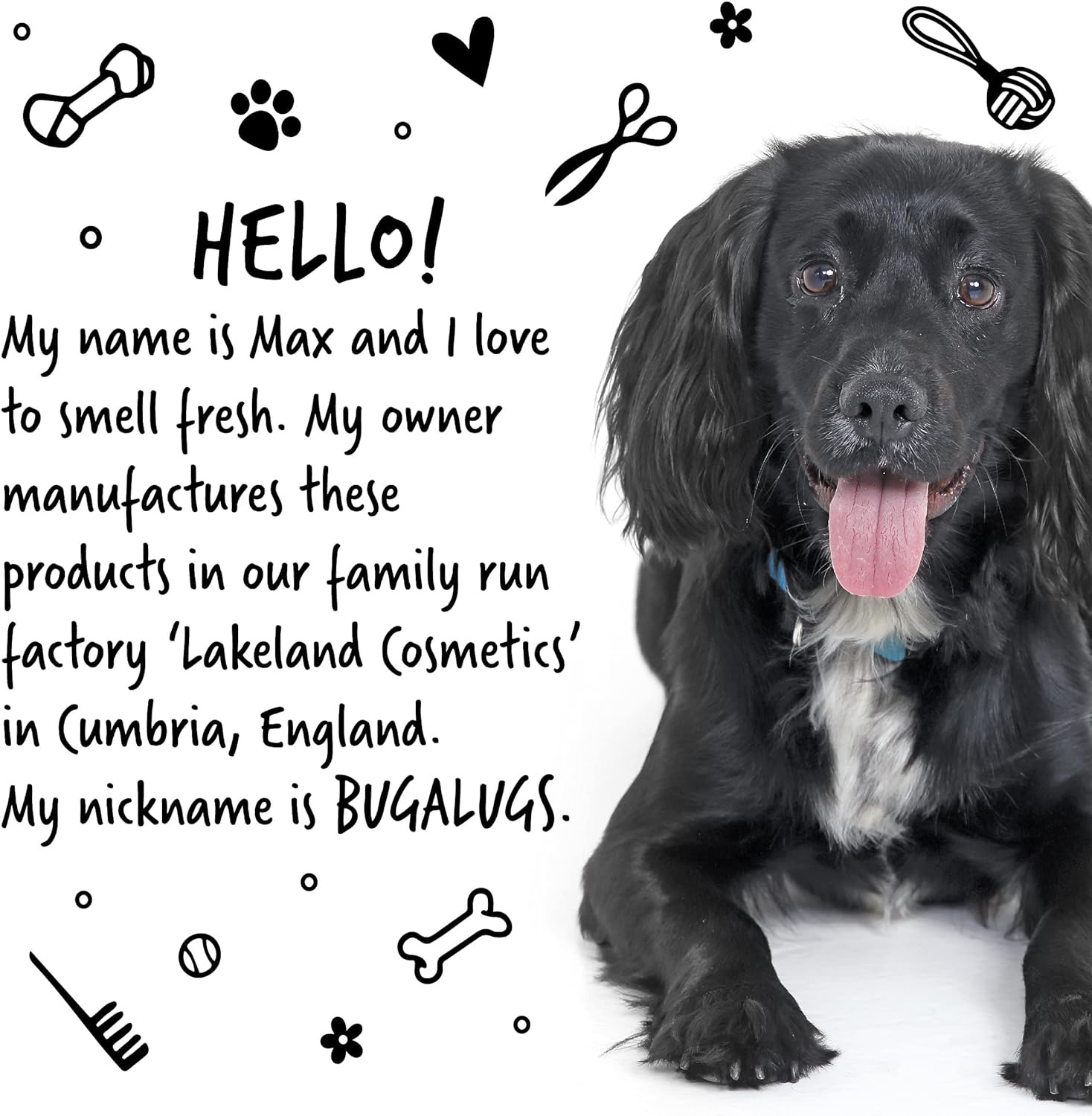 BUGALUGS Dog Shampoo for Itchy Skin Antibacterial And Antifungal Natural Medicated Safe Sensitive Formula - Fast Absorbing Skin Cooling First Aid relief For Cuts Grazes Skin Irritation :Pet Supplies