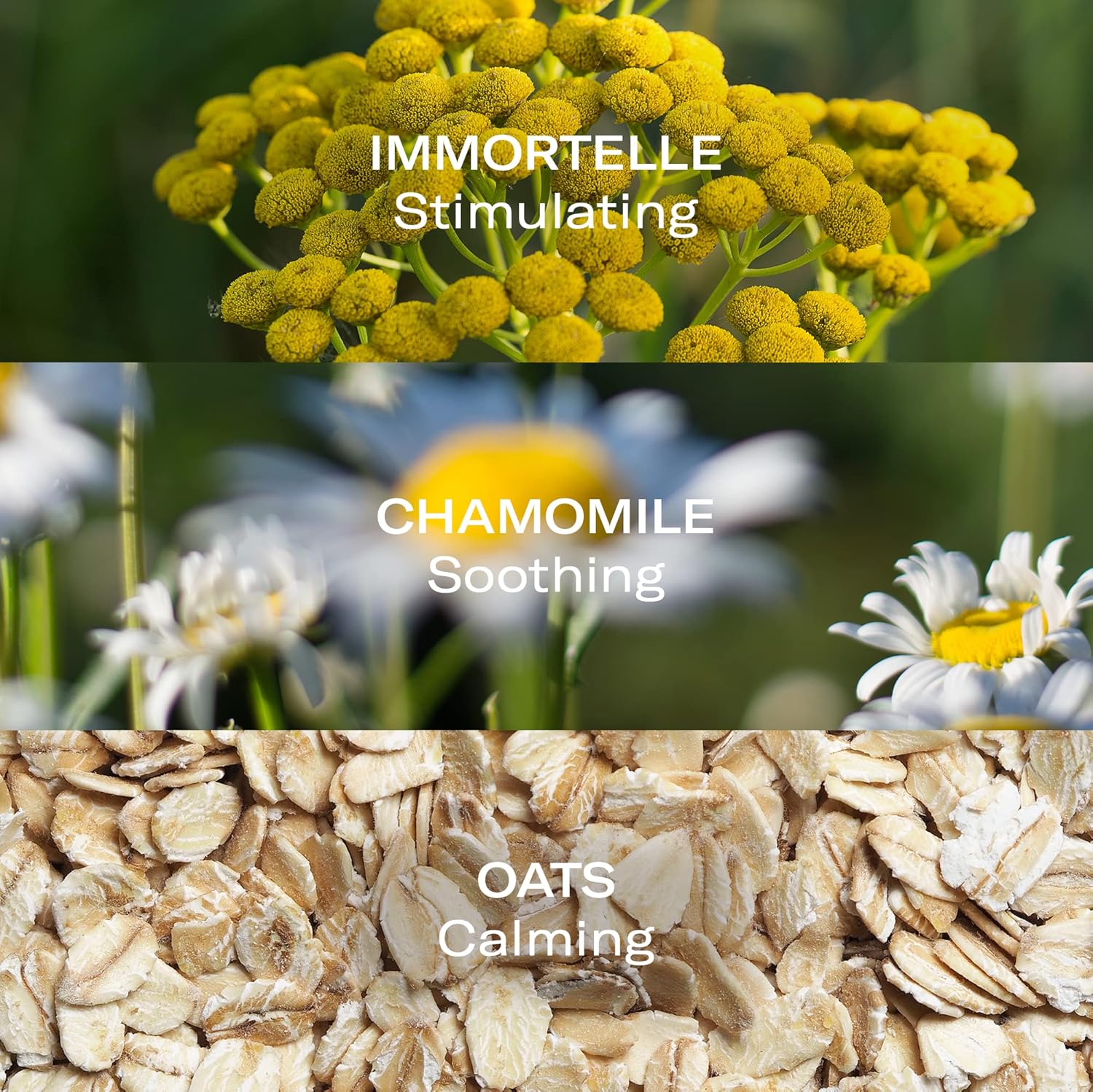 Odacite Odacité Face Moisturizer Spray Mist - Aloe & Immortelle Hydra-Repair Facial Mist - Lightweight & Refreshing Anti-Aging Moisturizer For Mature, Dry, Or Sensitive Skin, 1.69 Fl. Oz