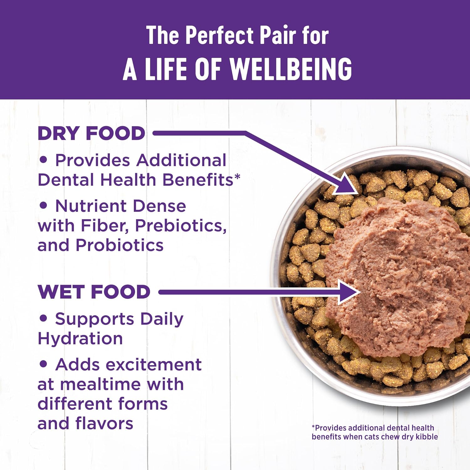 Wellness Complete Health Grain Free Canned Cat Food, Chicken Pate, 3 Ounces (Pack of 24) : Canned Wet Pet Food : Pet Supplies