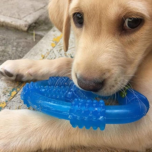 Nylabone Spin Tug & Play Puppy Chew Toy For Teething - Puppy Supplies - Peanut Butter Flavor, Medium/Wolf (1 Count)