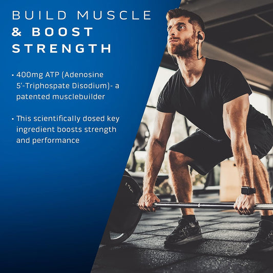 Muscle Builder MuscleTech Muscle Builder Muscle Building Supplements f