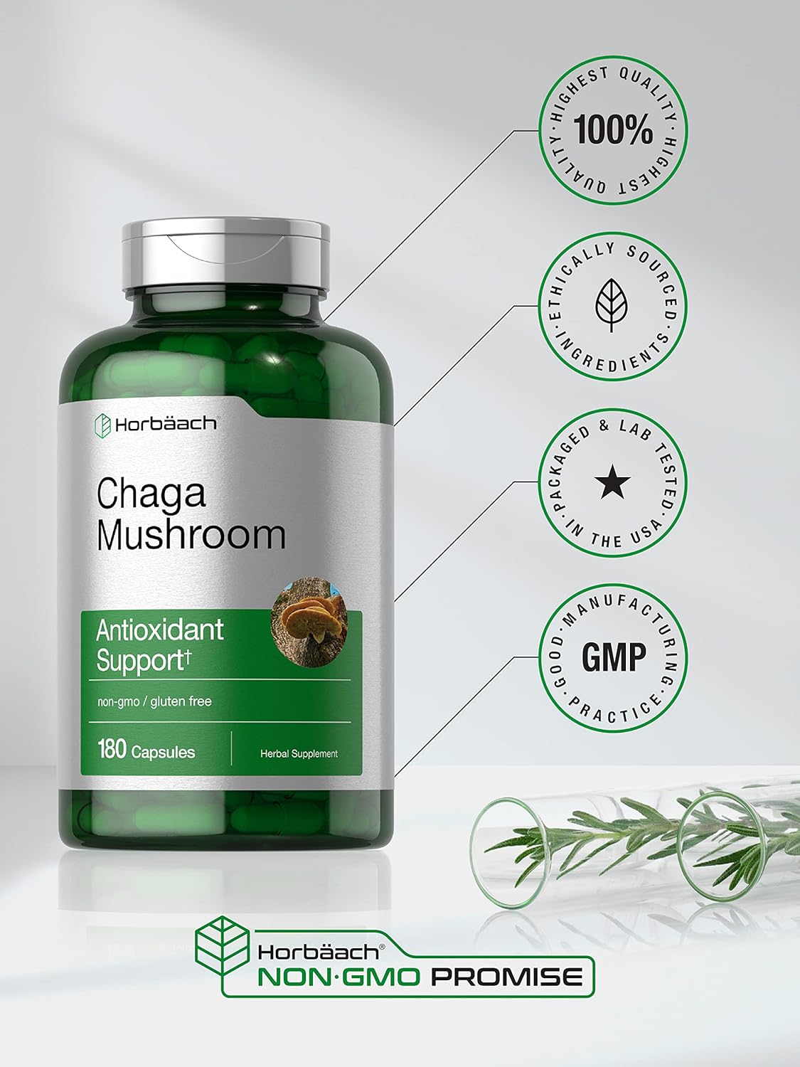 Horbäach Chaga Mushroom Capsules | 180 Count | Non-GMO & Gluten Free Supplement : Health & Household