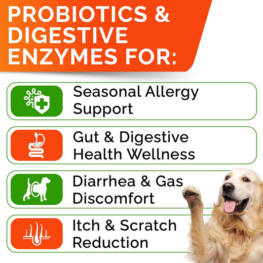 Allergy Relief + Probioticse For Dogs Bundle - Itchy Skin Treatment + Digestion & Gut Health - Omega 3 + Enzymes + Probiotics - Itchy Skin, Shedding + Upset Stomach & Gas Relief - 240Ct - Made In Usa