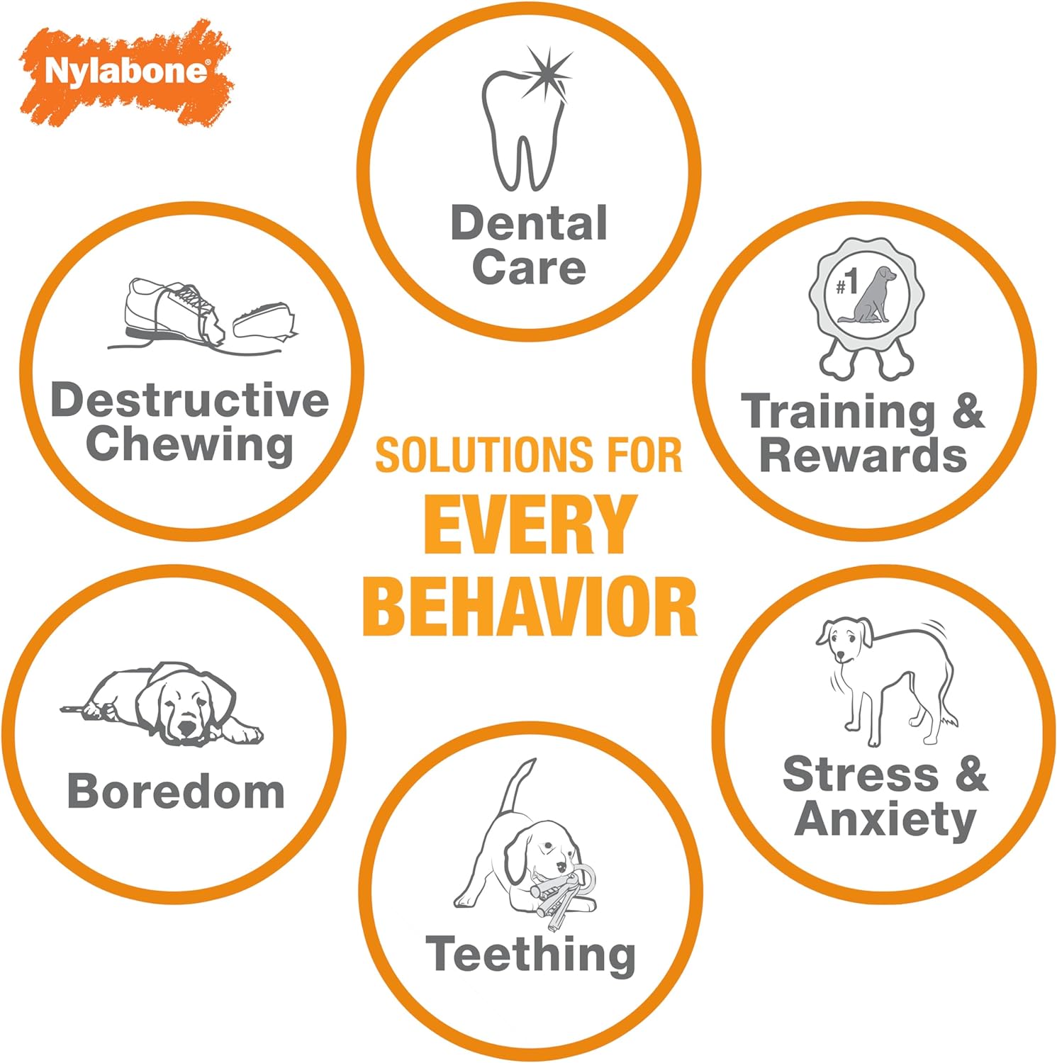 Pet Supplies : Pet Chew Toys : Nylabone Puppy Chew Keys Toy - Puppy Chew Toys for Teething - Puppy Supplies - Bacon Flavor, Small (1 Count) : Amazon.com