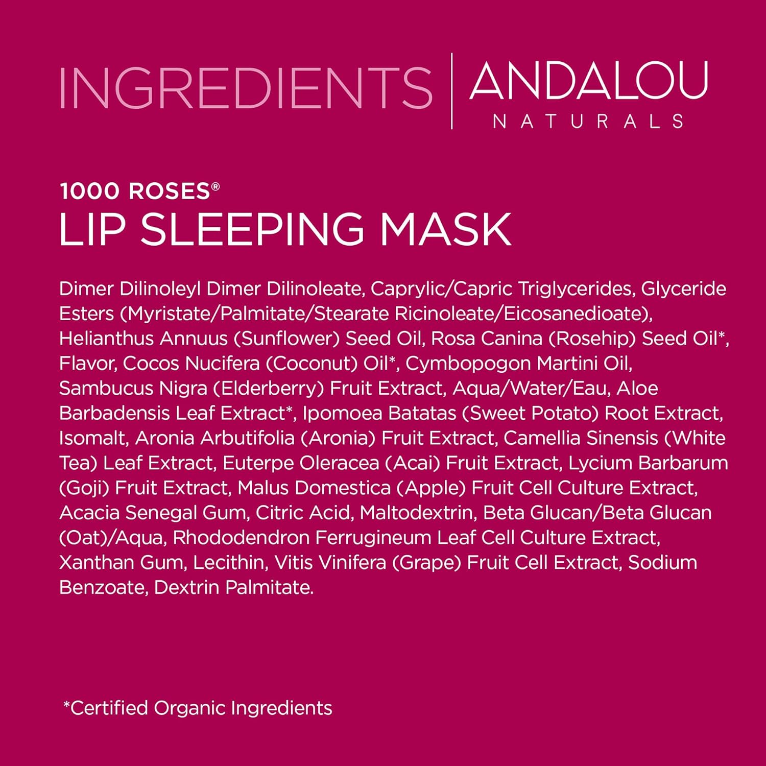 Andalou Naturals Lip Mask 1000 ROSES, Overnight Lip Sleeping Mask for Dry, Chapped Lips, Plumping, Hydrating & Soothing Lip Balm with Alpine Rose Stem Cells, Vegan & Cruelty-Free, 0.42 Oz : Everything Else