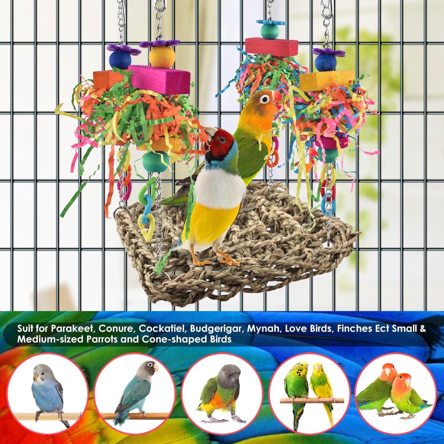 KATUMO Conure Toys, Bird Grass Swing Mat Parrot Climbing Hammock with Colorful Toys for Parakeet, Cockatiel, Sun Conure, Lovebird, Budgie, Small Birds : Pet Supplies