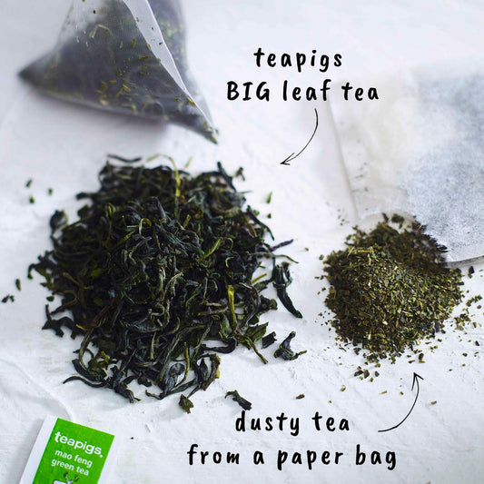 Teapigs Mao Feng Green Tea Bags Made With Whole Leaves (1 Pack Of 50 Teabags)