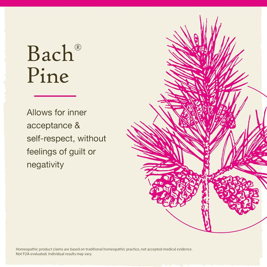 Bach Original Flower Remedies, Pine For Self Respect (Non-Alcohol Formula), Natural Homeopathic Flower Essence, Holistic Wellness And Stress Relief, Vegan, 10Ml Dropper