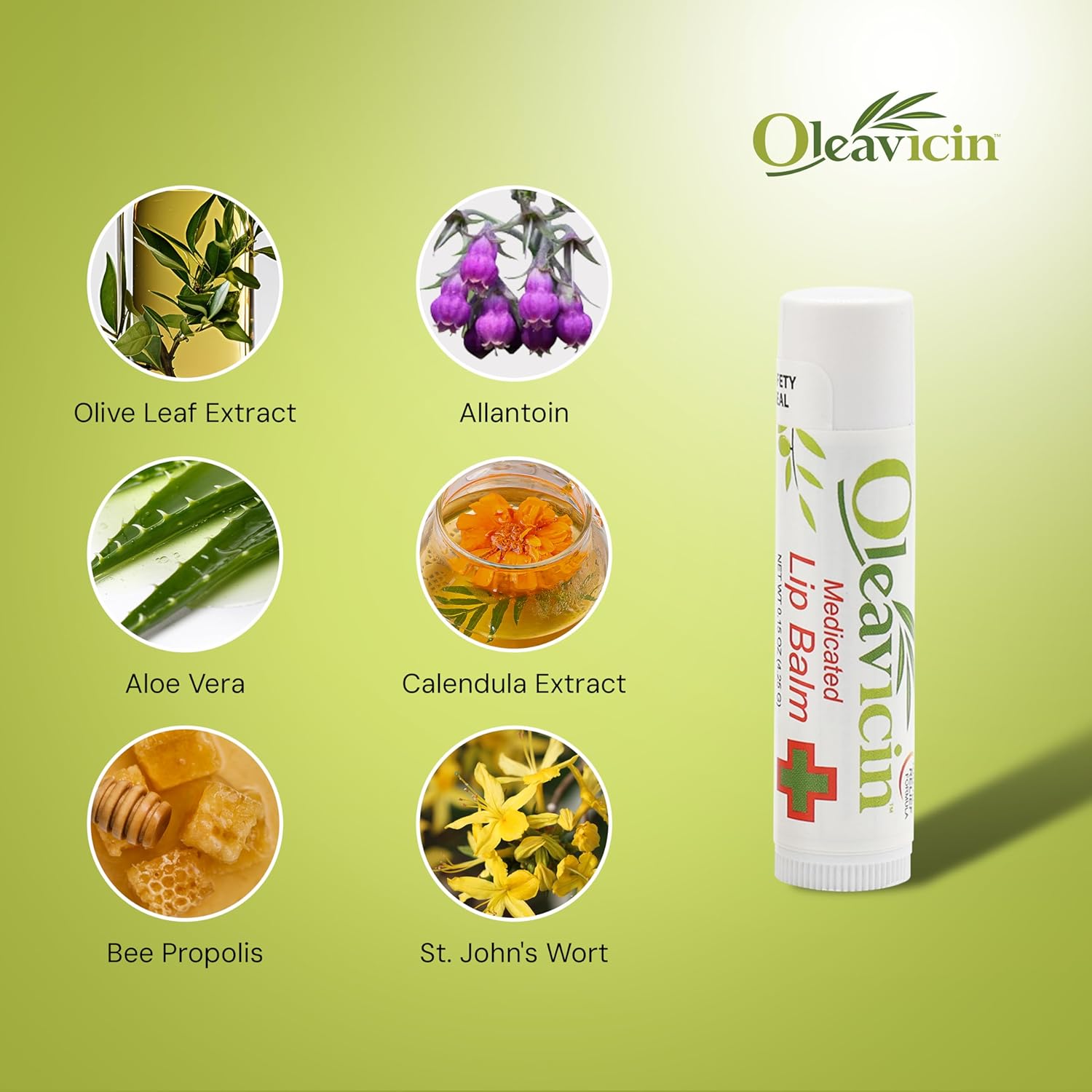Natural Lip Balm By Oleavicin | Dry Lip Relief | Patented Moisturizing Formula For Chapped Lips | Organic Olive Leaf Extract : Beauty & Personal Care