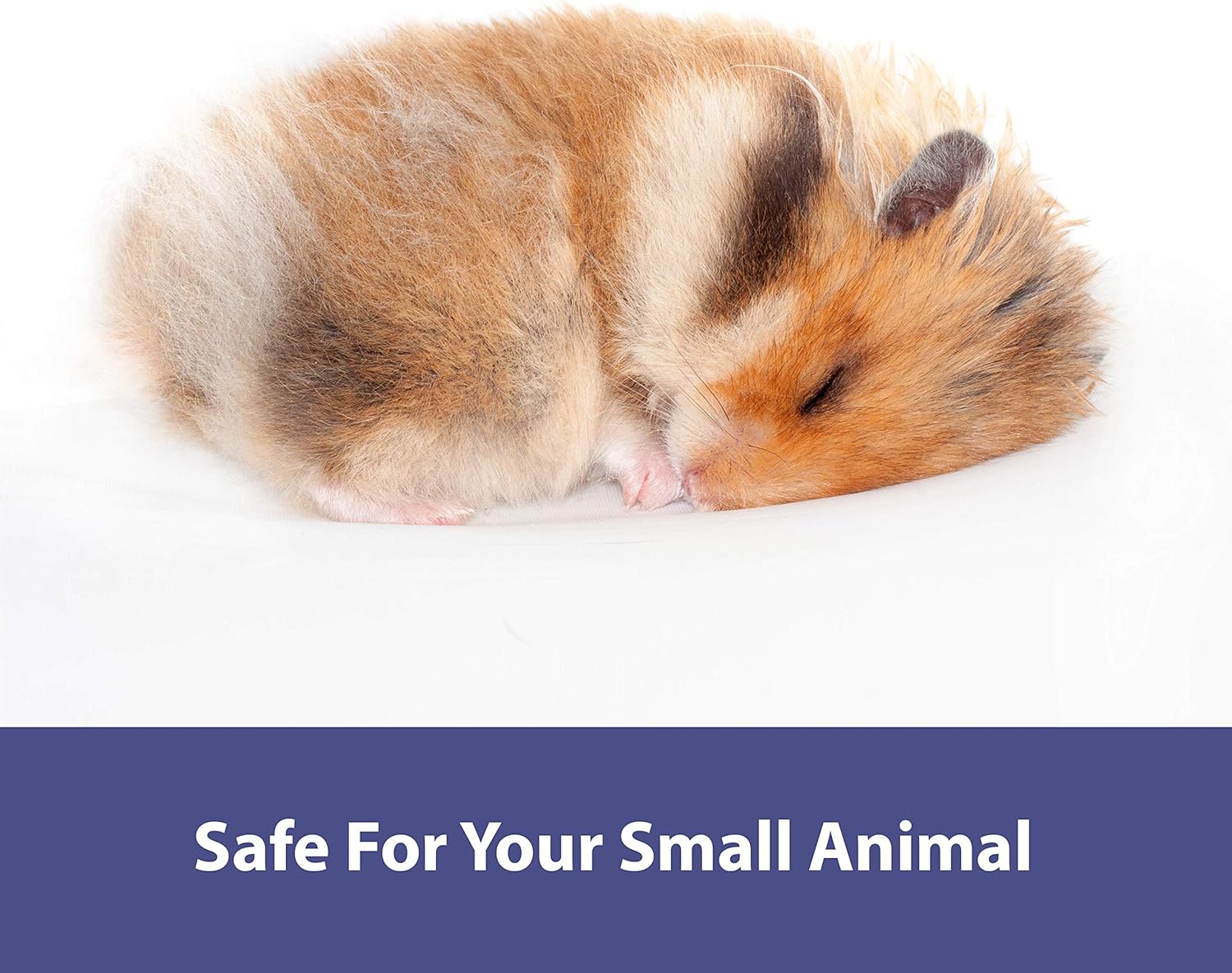 Kaytee Clean & Cozy Natural Small Animal Pet Bedding for Pet Guinea Pigs, Rabbits, Hamsters, Gerbils, and Chinchillas, 49.2 Liters : Pet Beds : Pet Supplies