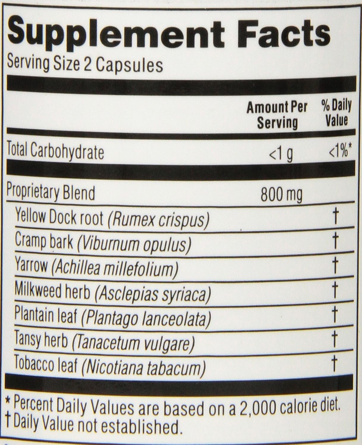 Kroeger Herb Capsules, Blood Toner Vegetarian, 100 Count : Health & Household