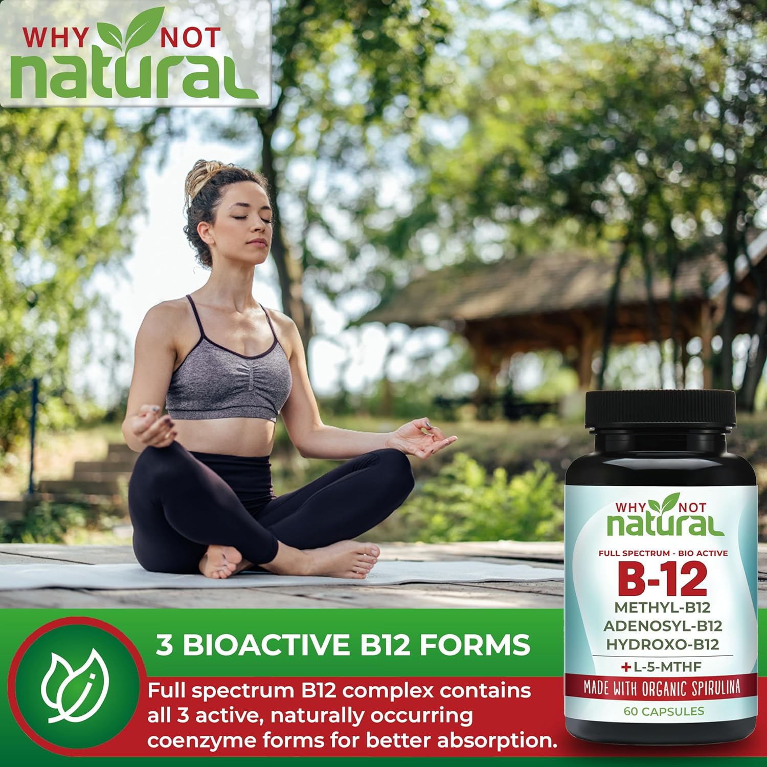 Why Not Natural Vitamin B12 5000 mcg Supplement with Methylcobalamin, Adenosylcobalamin and Hydroxy B12 Complex with Methylfolate 1000 mcg, L-5-MTHF, Made with Organic Spirulina : Health & Household