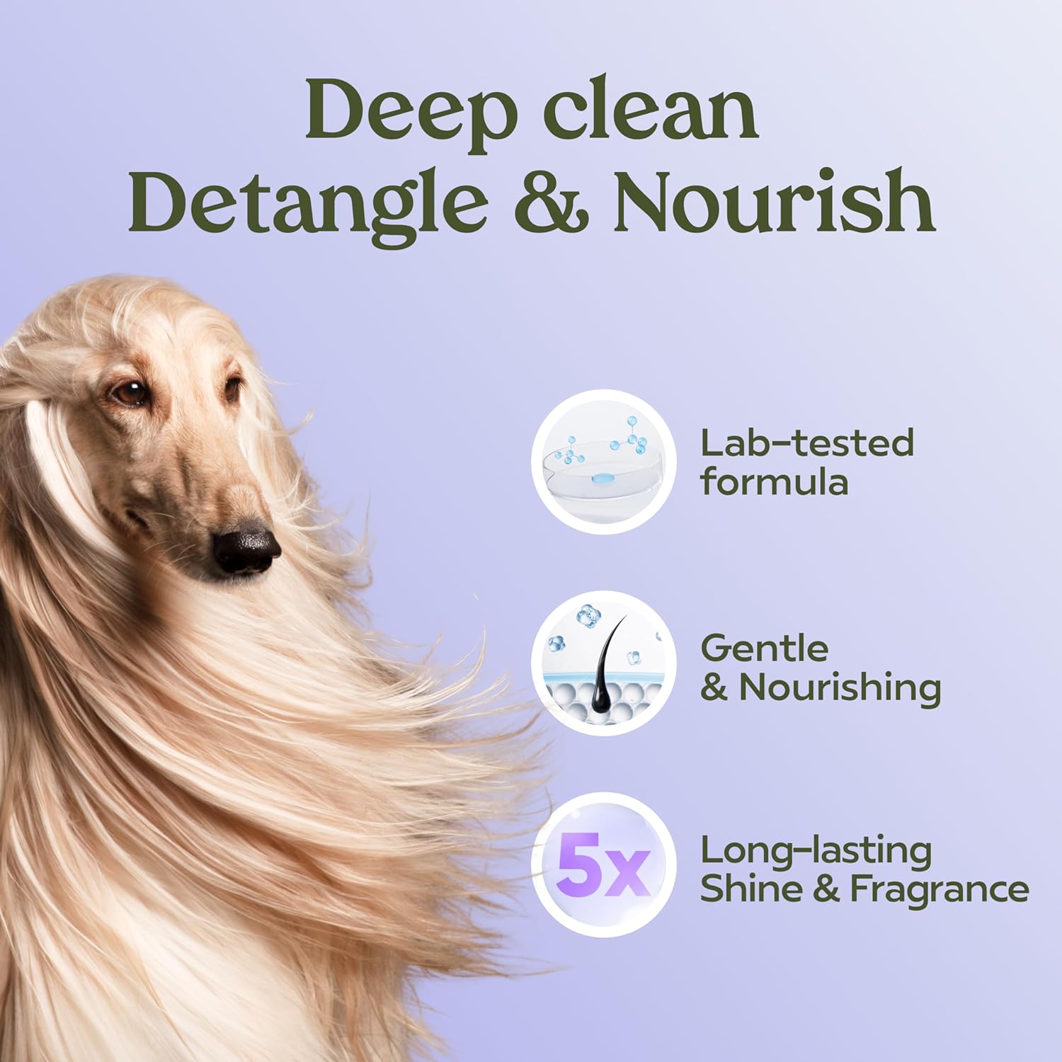 Pawfume Dog Shampoo and Conditioner – Hypoallergenic Dog Shampoo for Smelly Dogs – Best Dog Shampoos & Conditioners – Probiotic Pet Shampoo for Dogs – Best Dog Shampoo for Puppies (Lavender, 2-Pack)