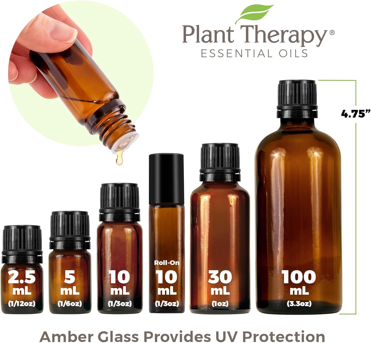 Plant Therapy Ravintsara Essential Oil 30 mL (1 oz) 100% Pure, Undiluted, Therapeutic Grade : Health & Household